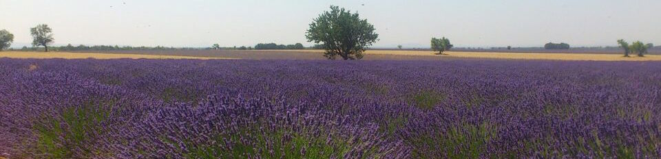   Ein Weg entsteht wenn man ihn geht